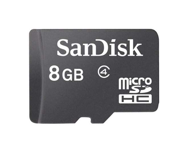 Sandisk 8 GB Micro SD Card