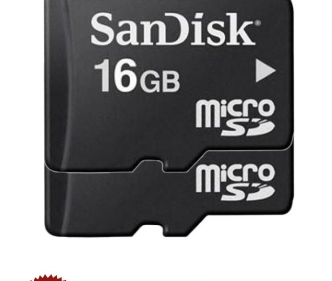 Sandisk 16GB Class 4 MicroSD Card (Combo of 2)