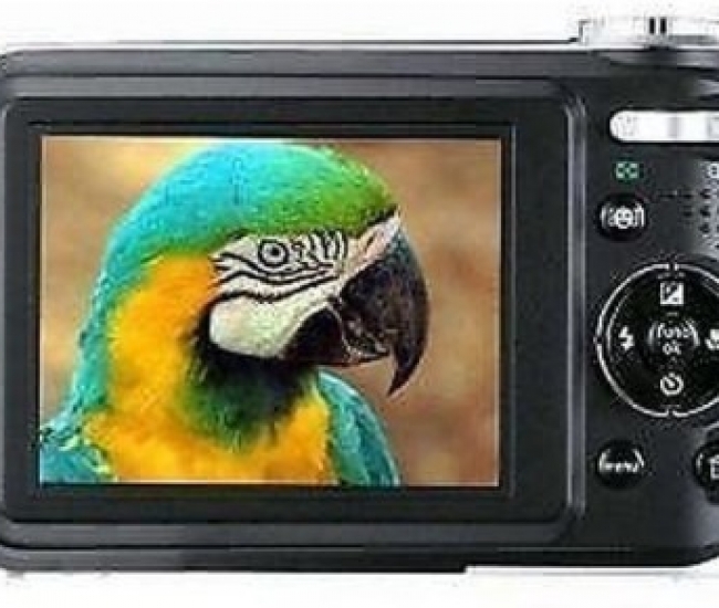 GE Digital D1030 10-20 mm Point & Shoot Camera