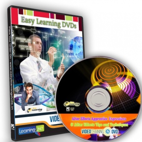Easylearning After Effects Apprentice Expressions & Tips and Techniques Video Training Tutorial DVD