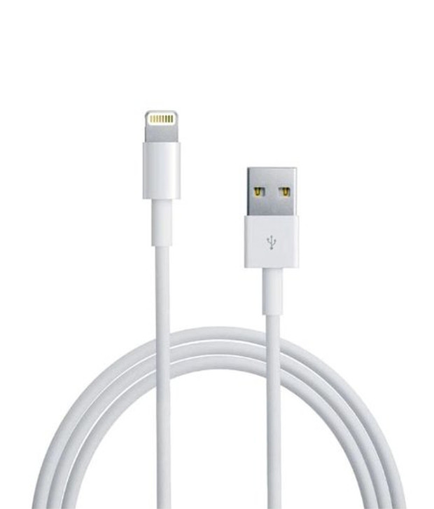Apple Md818zma Lightning Cable
