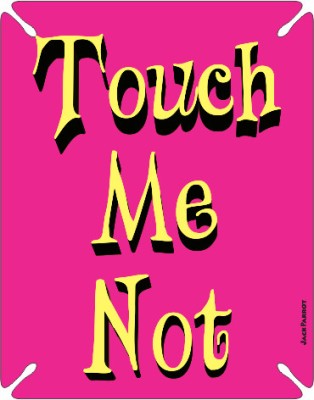 Jack Parrot Touch 068 for Apple iPad Apple iPad Mobile
			Skin